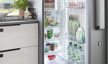 2025_ww_maxia_660wqm_in_kuehlschrank_157l_h_BEAR